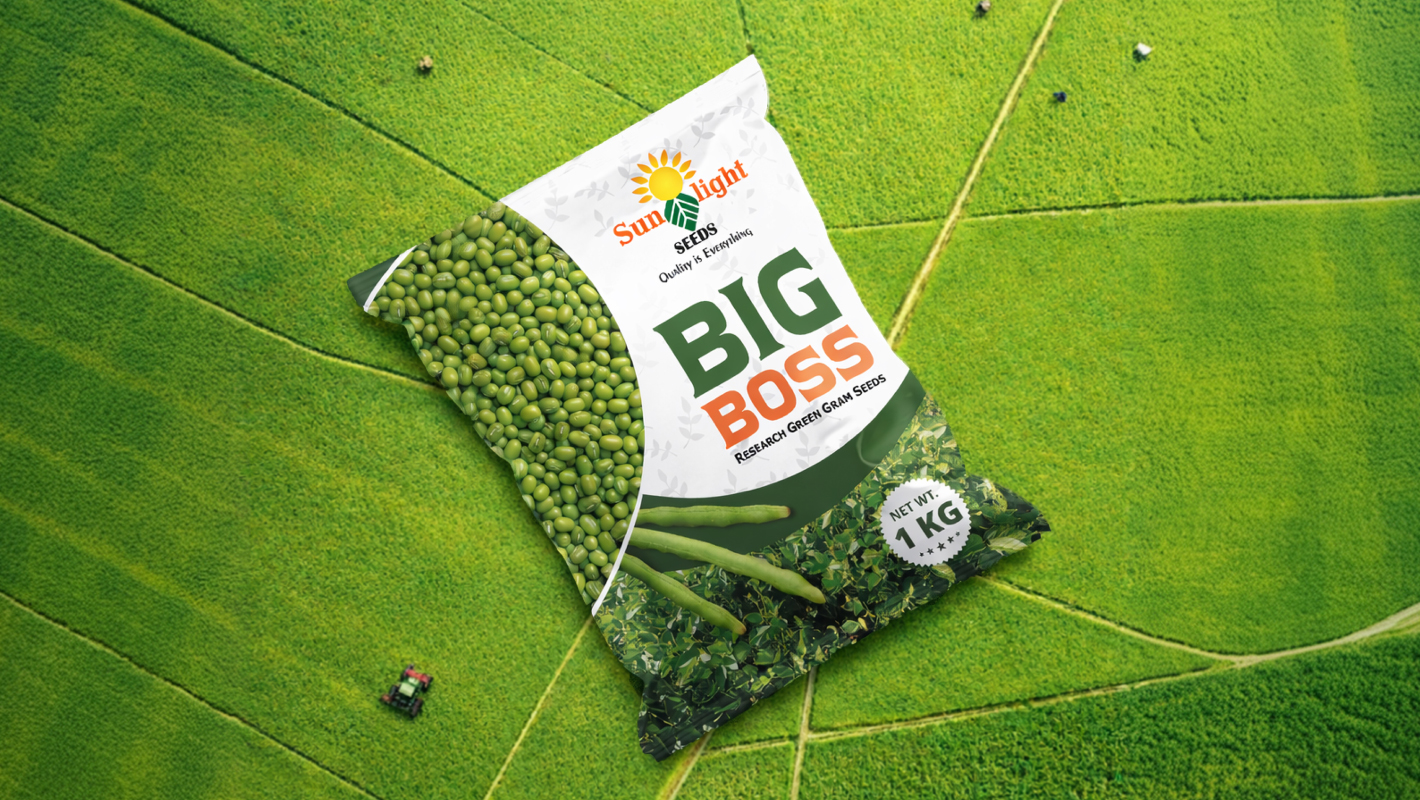 Sunlight – BIG BOSS