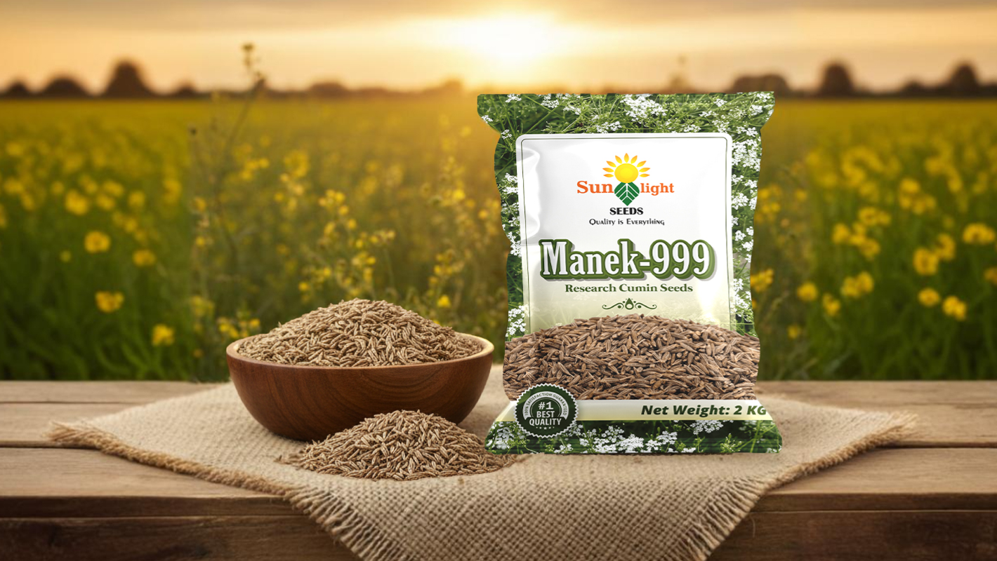 Sunlight – Manek 999