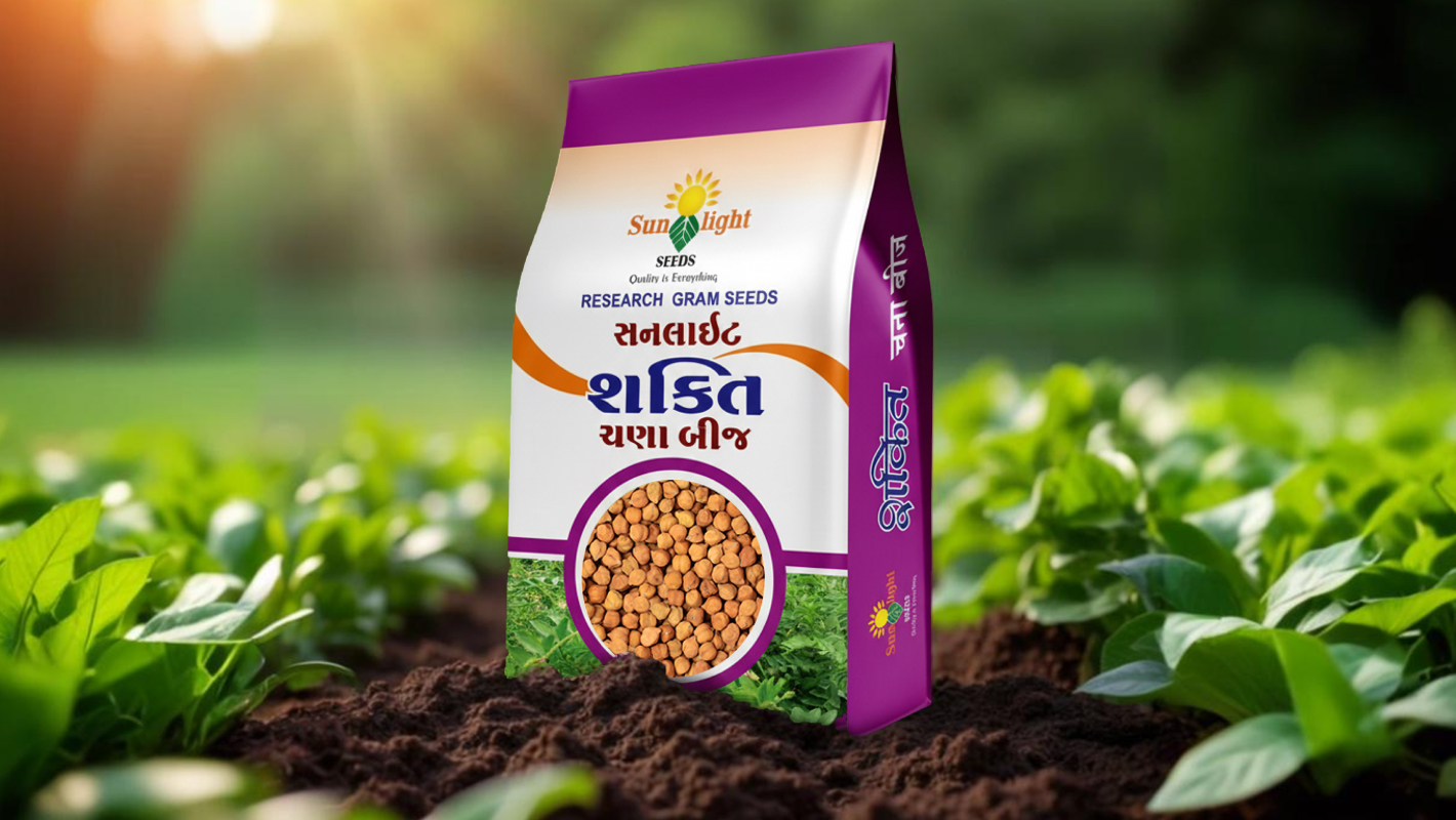 Sunlight – CHANA BEEJ