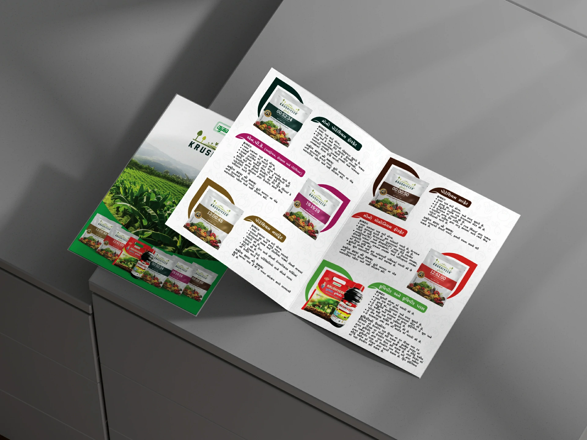 Flyer – Krushiveer